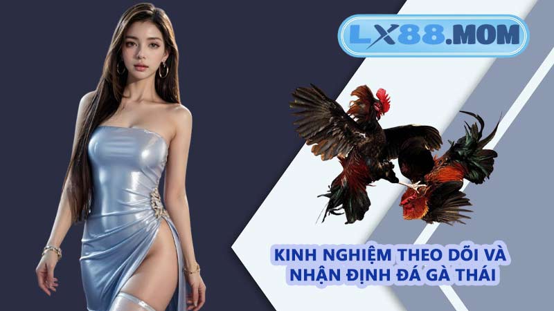 Kinh nghiệm theo dõi và nhận định đá gà Thái