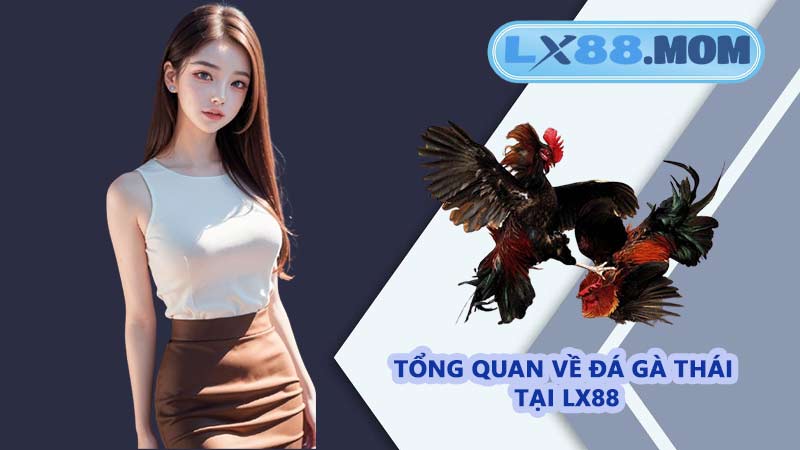 Tổng quan về đá gà Thái tại LX88